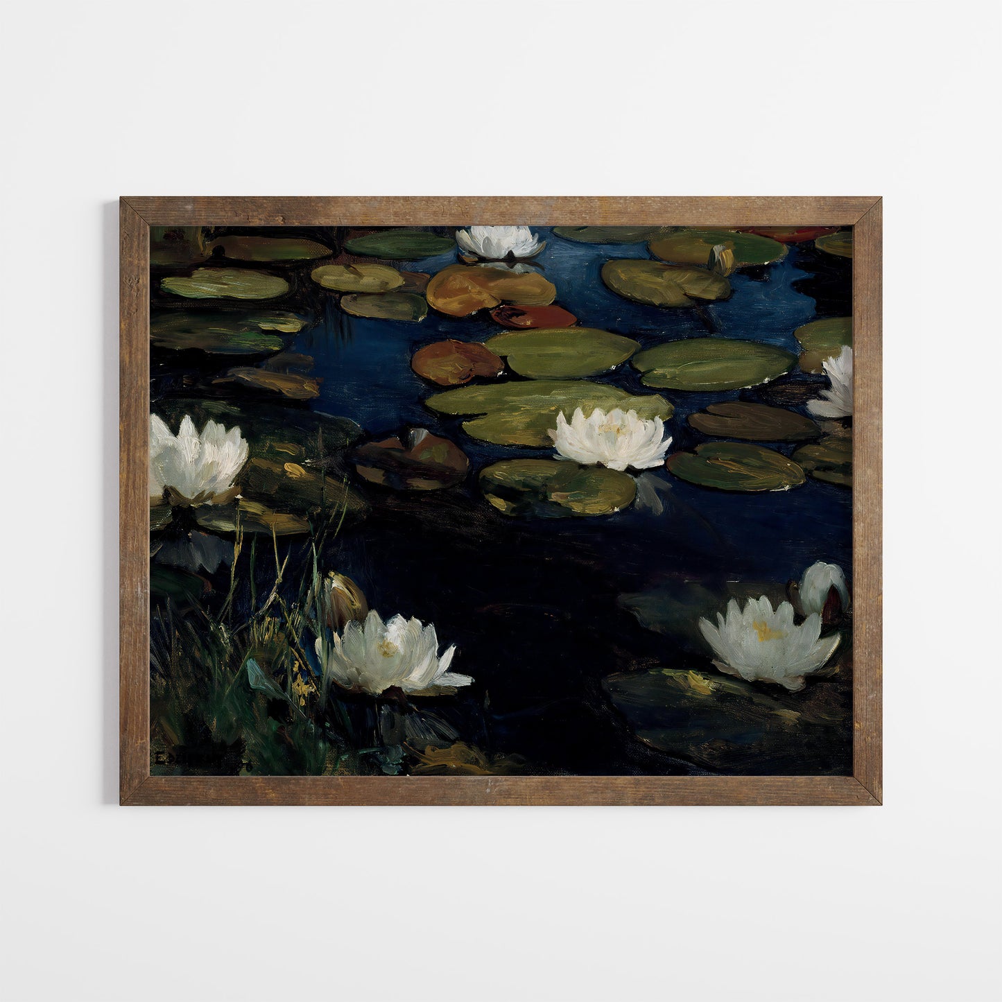Lily Pads