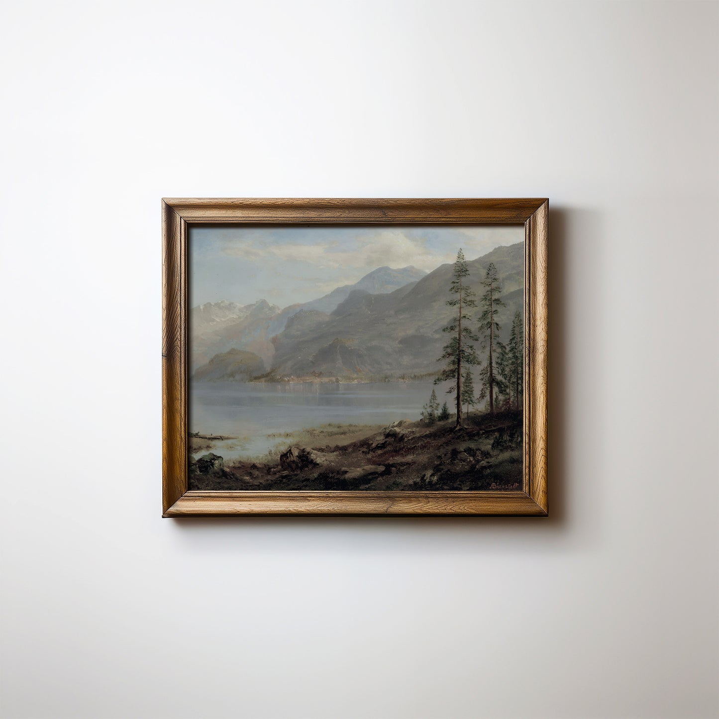 vue sur le lac