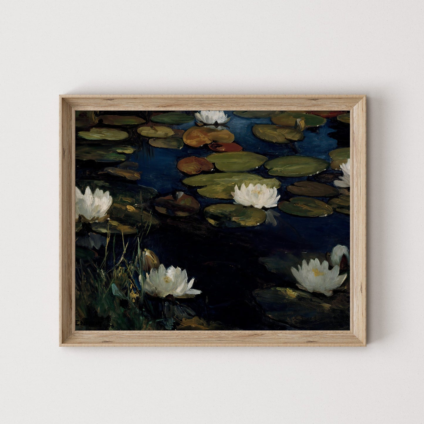 Lily Pads