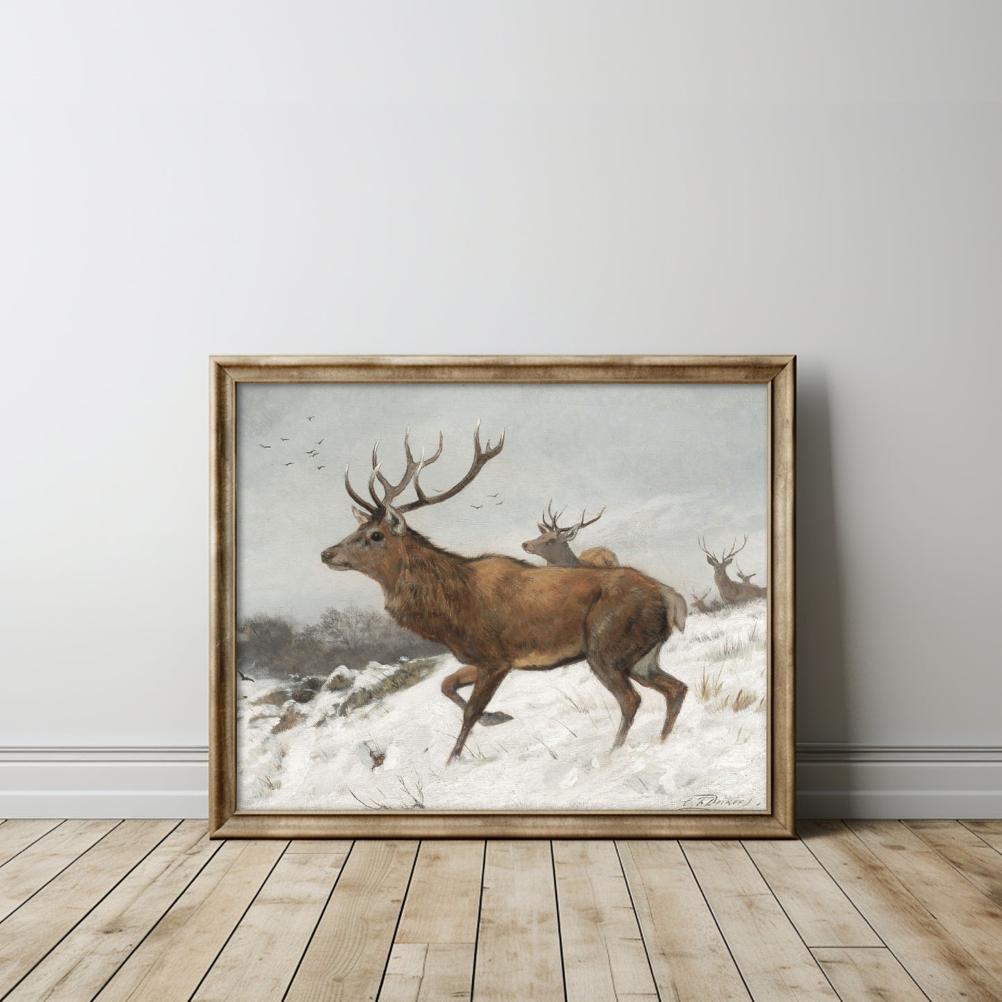 Winter Deer