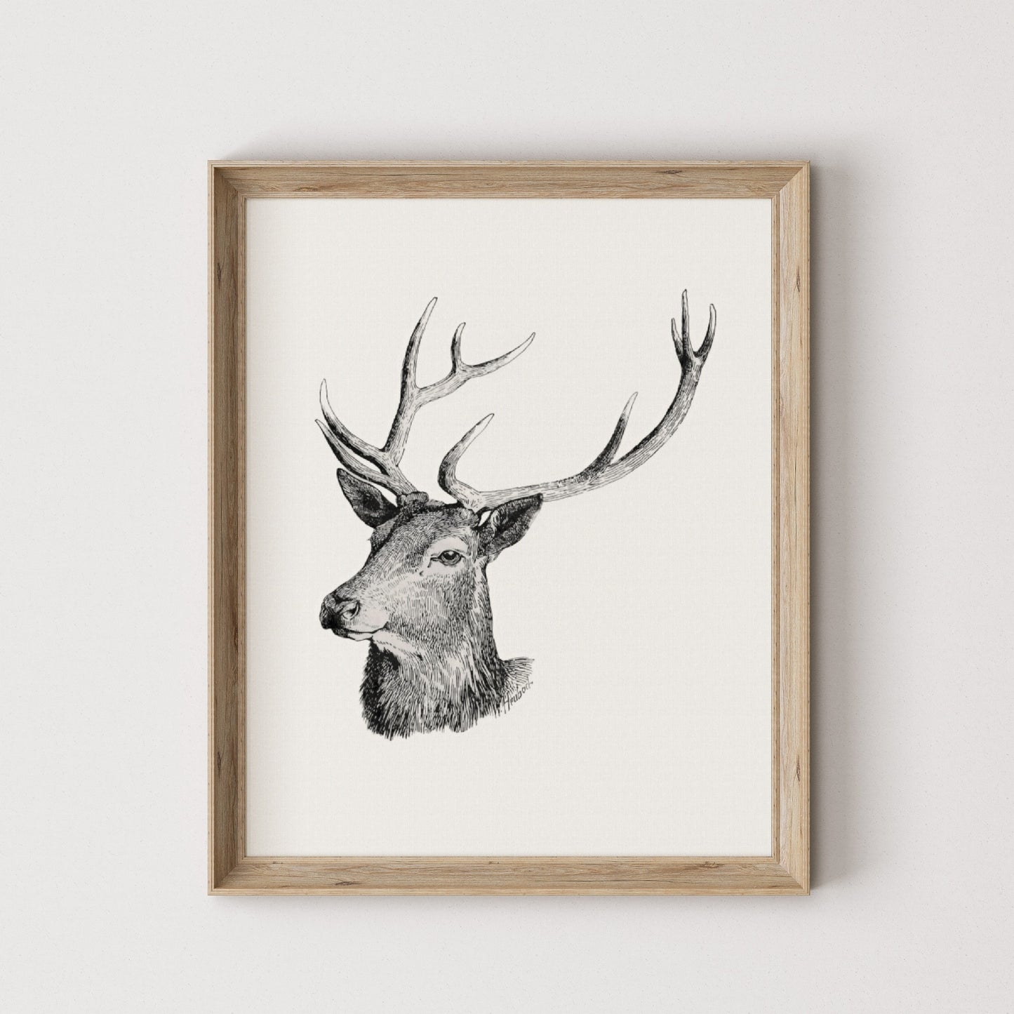 Deer Head