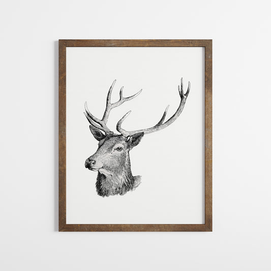 Deer Head