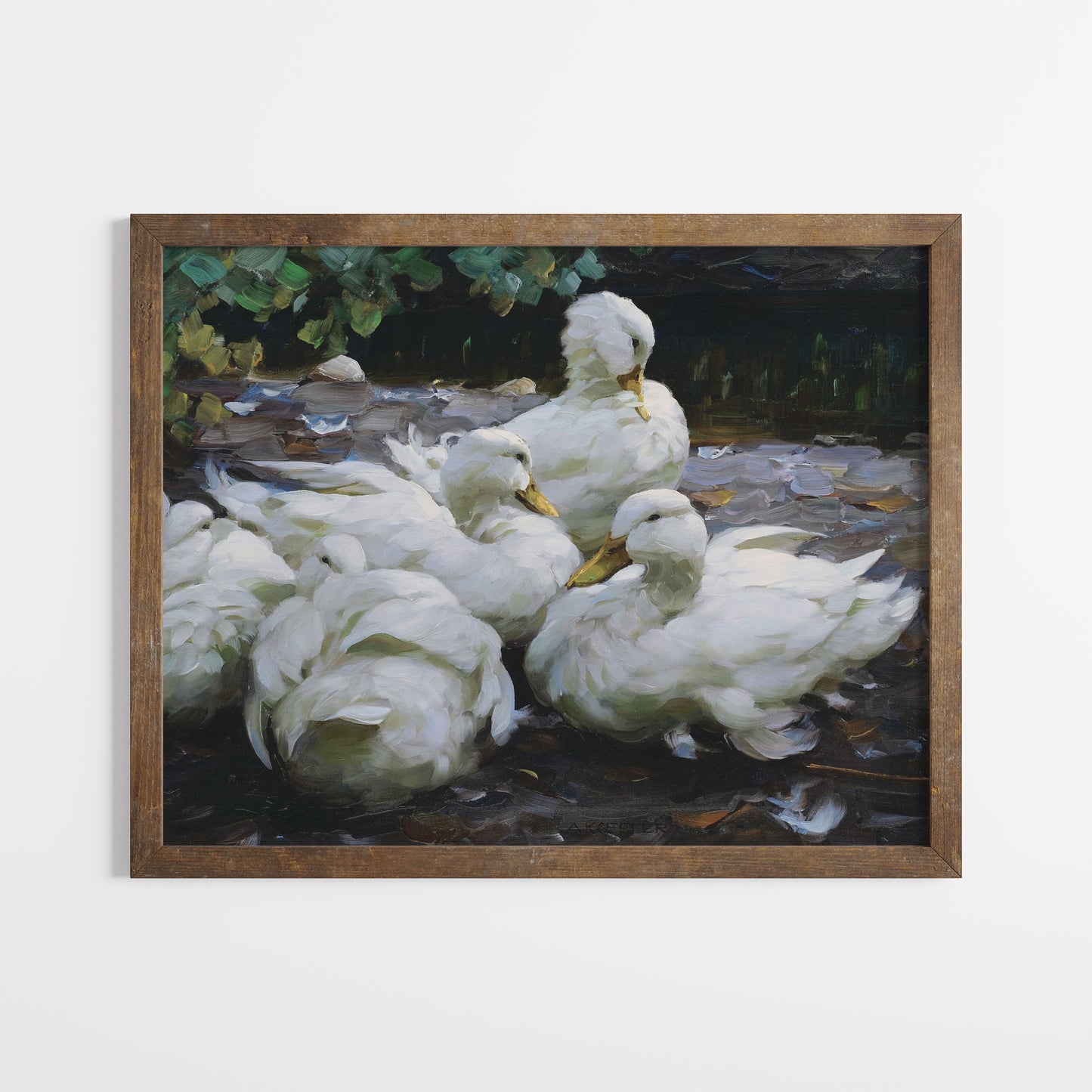 White Ducks