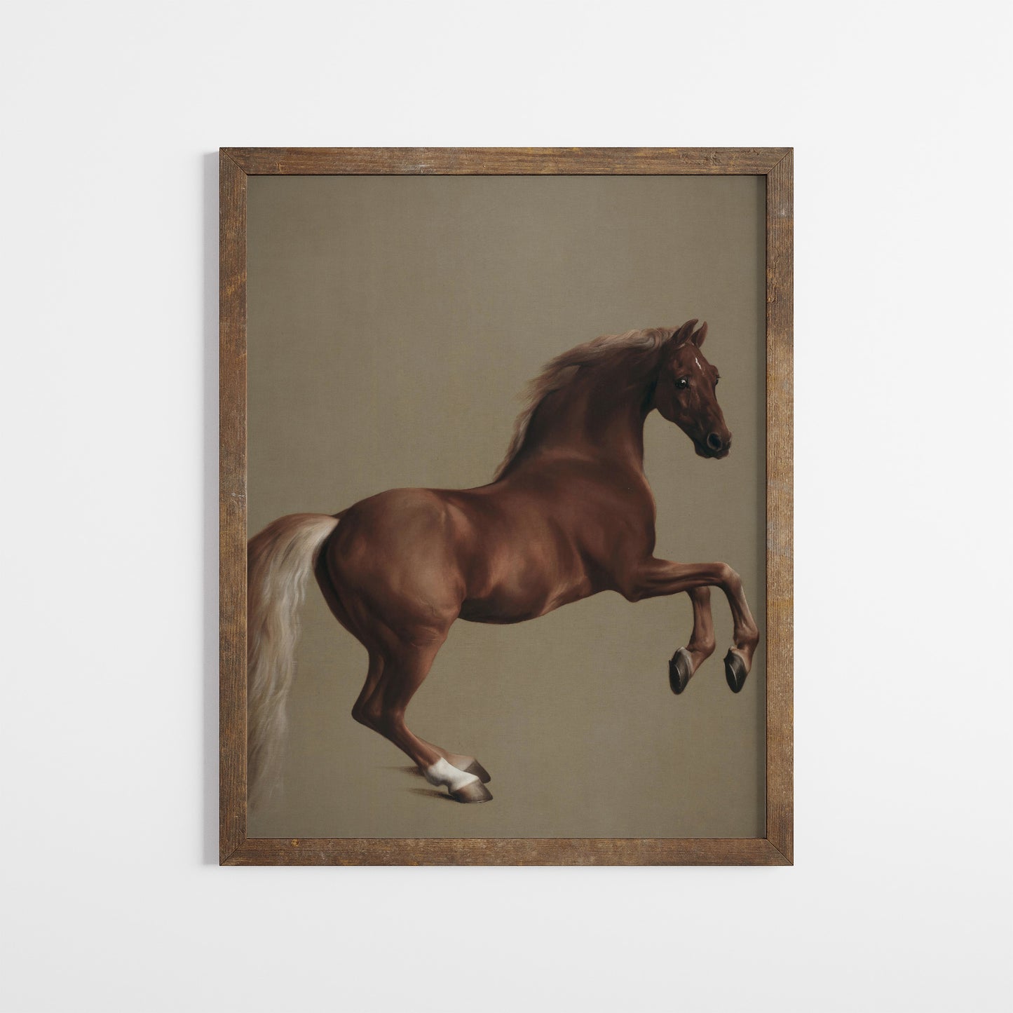 Chestnut Stallion