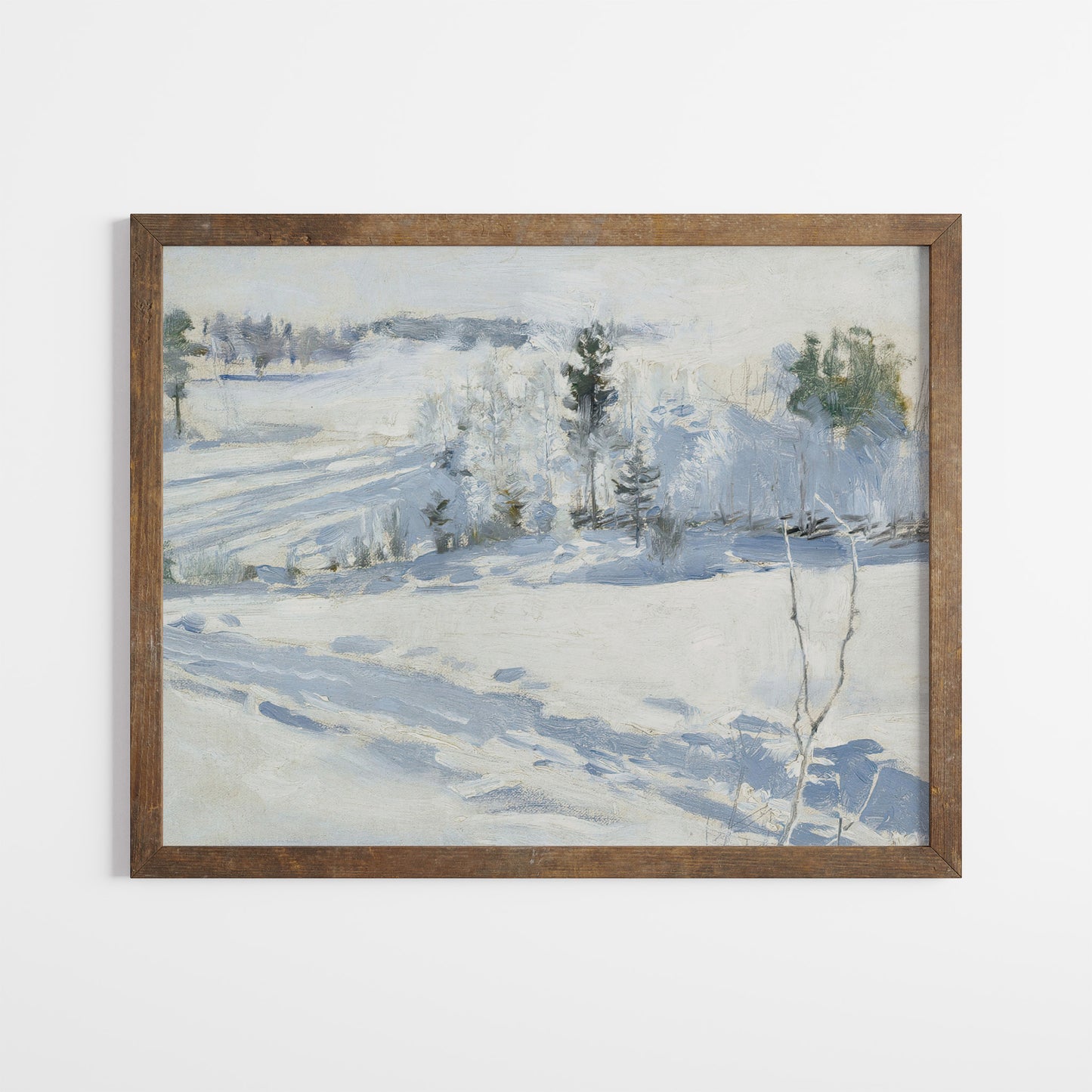 Snow Landscape