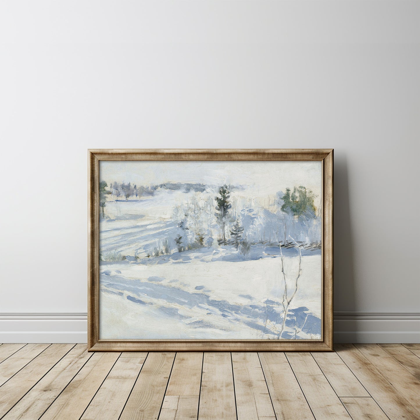 Snow Landscape