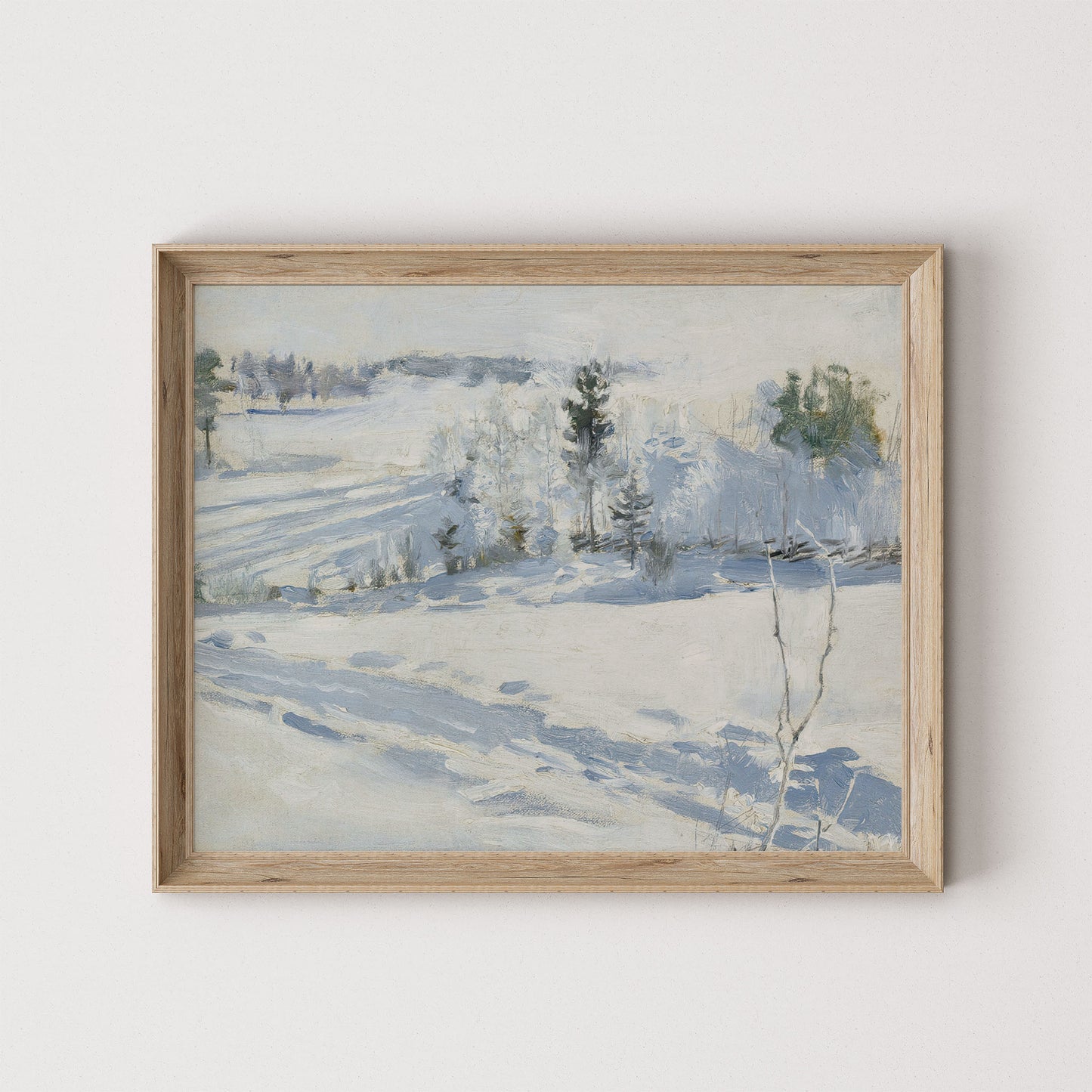 Snow Landscape